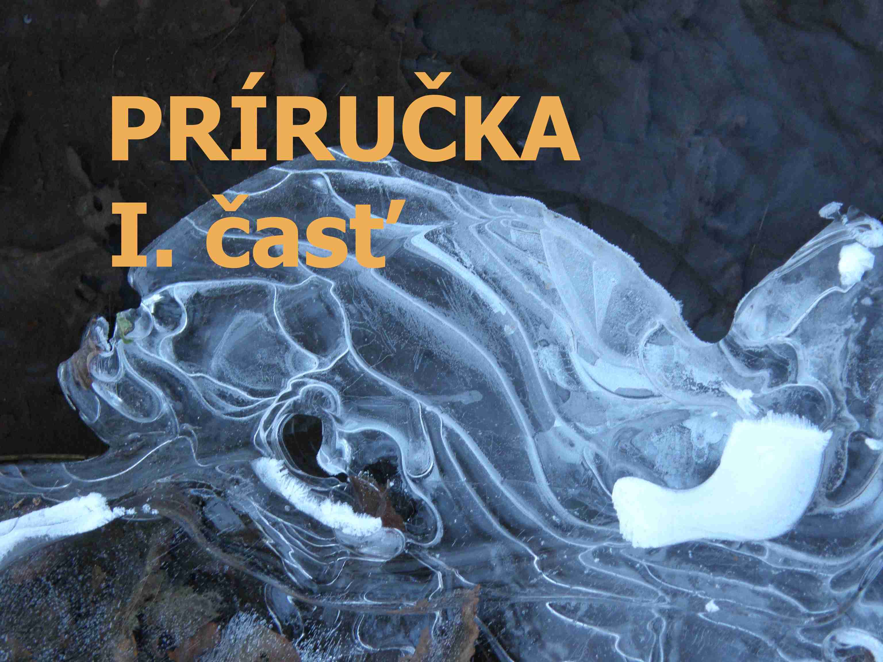 Príručka PJS/PLA - časť 1.